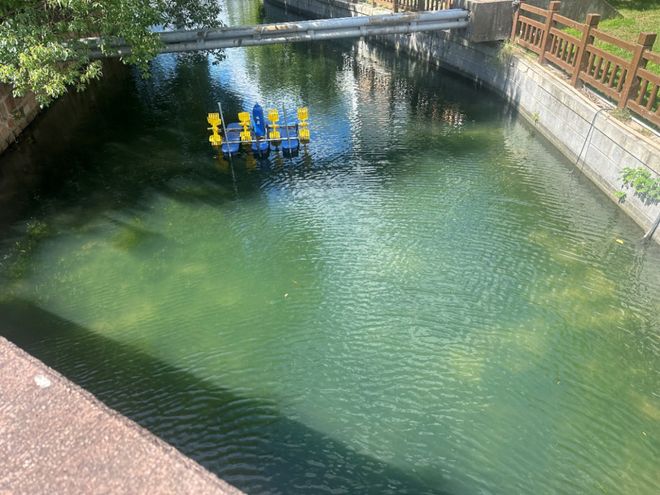 源头截污见效朱家角老街重现水清岸秀(图3)