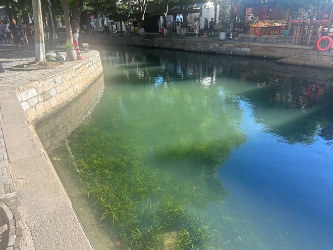 源头截污见效朱家角老街重现水清岸秀(图5)