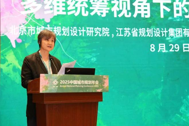 规划年会 学术研讨会二：多维统筹视角下的立体城市规划实践(图3)