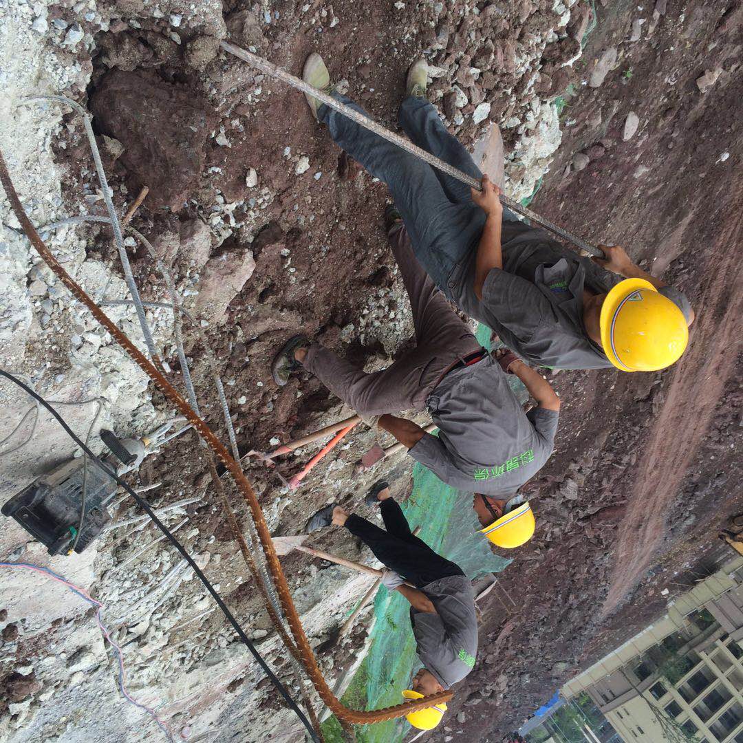 粤港澳大湾区非开挖技术发展论坛在深圳成功举办聚焦智能与绿色施工(图1)