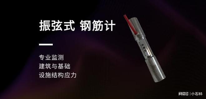 钢筋计 监测建筑与基础设施结构应力 建筑、交通、水利及岩土工程(图1)