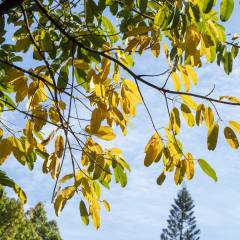 非开挖修复专业学什么(图4)