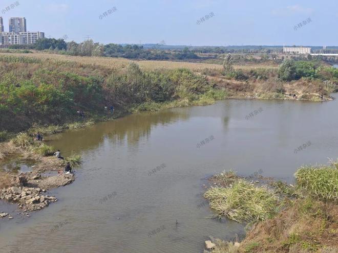 时隔一年沈抚示范区金水湖再出现施工画面(图2)