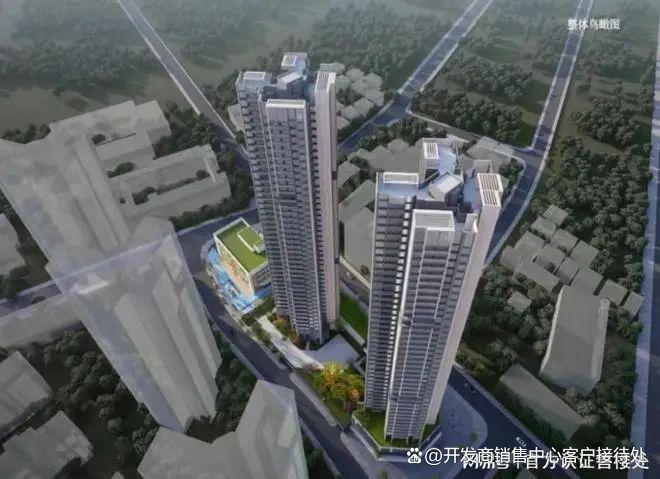 龙岗星龙园配套大起底！商业医疗生态基础设施全解析官方最新(图11)