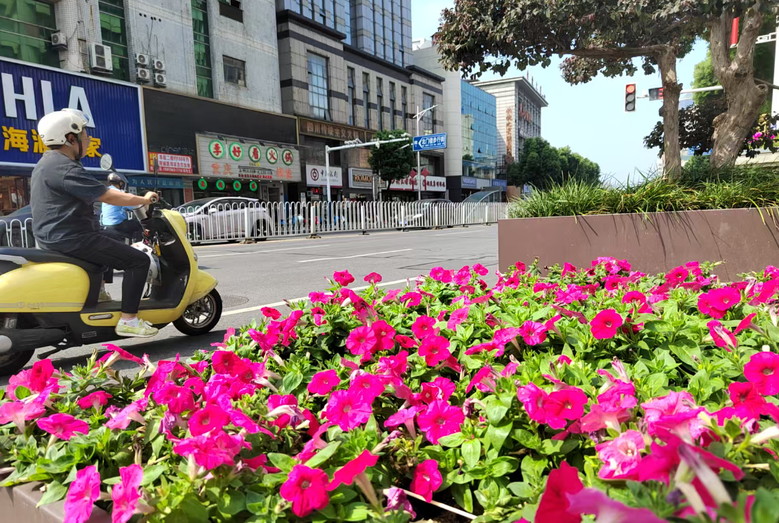 老旧小区焕新、基础设施升级(图1)