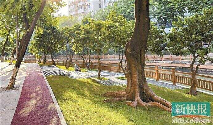 翻新外墙、增加扶手、原拆原建、引入非遗……广州老旧小区蝶变尽展“绣花”功夫(图6)