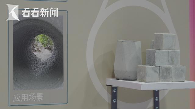 世界城市日：城博会为全球城市提供“中国方案”(图2)