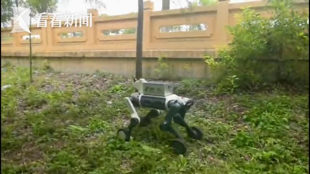 世界城市日：城博会为全球城市提供“中国方案”(图10)