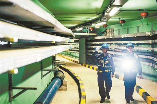 善建优管、城市品质更上一层楼 厦门市政园林部门助力城市更智慧、韧性、宜居(图1)