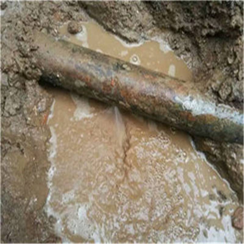 广元市城区周家沟等5条黑臭水体治理修复项目设计施工总承包1标段(图1)