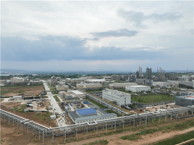 攻坚突破创佳绩 品牌赋能拓新局——中国化学工程四化建中南公司2025年高质量发展纪实(图1)