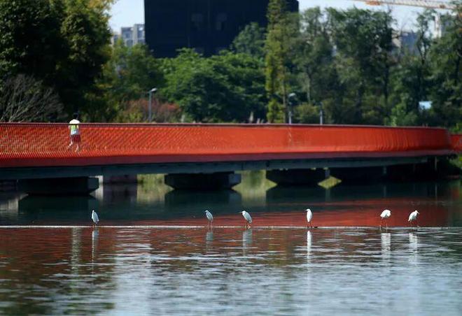 地方动态 成都持续推进公园城市示范区建设观察(图4)