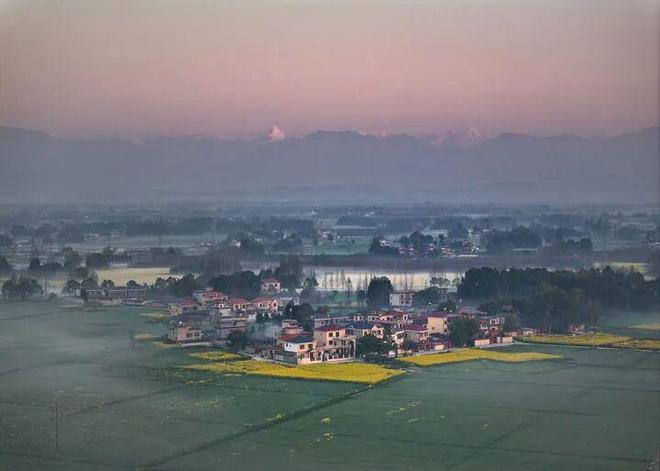 地方动态 成都持续推进公园城市示范区建设观察(图3)