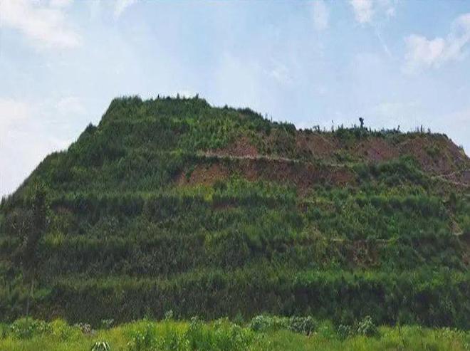 【典型案例】十个矿山生态修复典型案例(图3)
