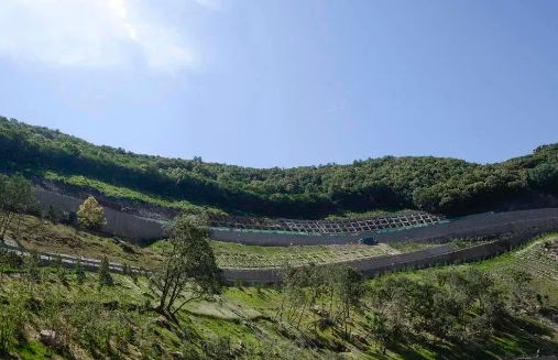 【典型案例】十个矿山生态修复典型案例(图6)