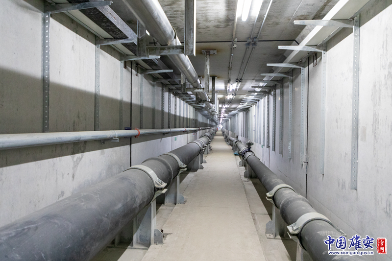 西藏加查县：高原江畔小城的美丽蜕变与民生温度(图1)