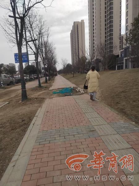 山东冠县：攻坚通“梗阻” 清流解“水困”(图1)