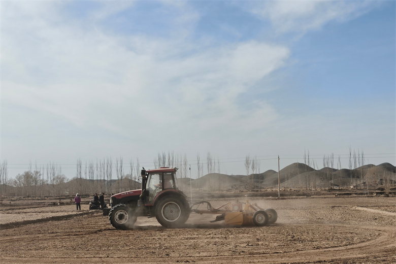 山东临清：生态农业释放发展“绿动能”(图1)