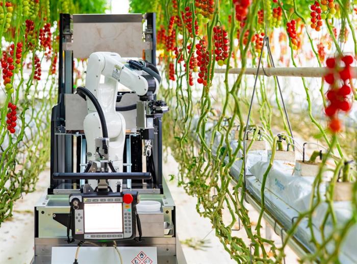 在科技赋能与生态理念交织中推进乡村农业可持续发展(图1)