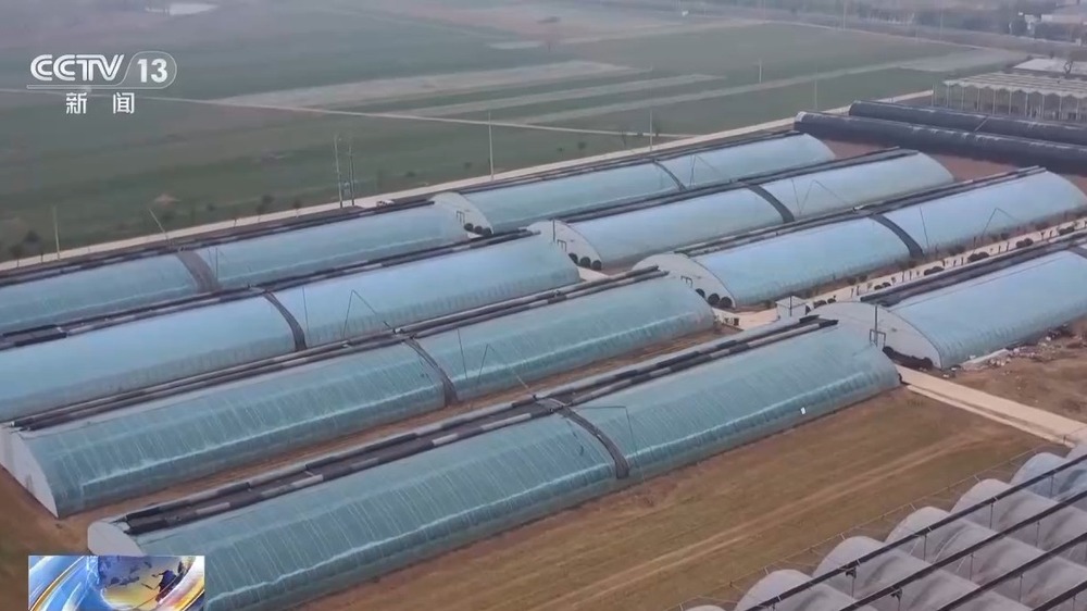 寒潮来袭农业生产这些防护措施不能少(图3)