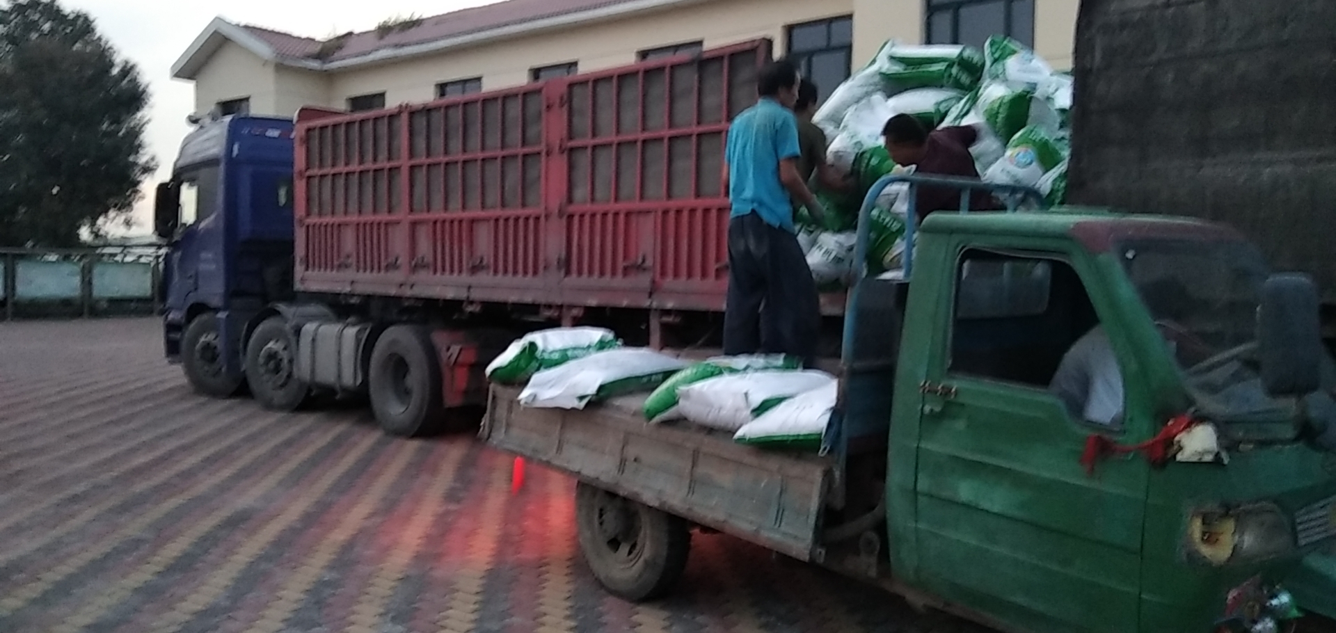 2026年1月天津评价高的有机肥公司排行(图2)