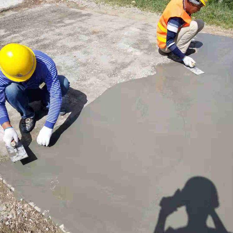 为藏羚羊让路 为黑颈鹤筑巢(图1)