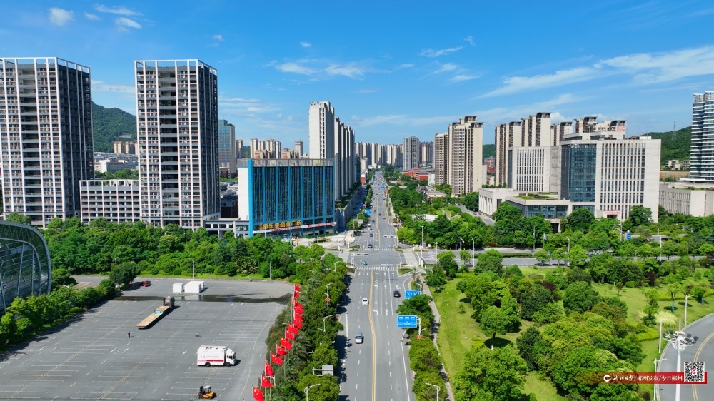 苏仙区：道路景观焕新颜 绿化工程惠民生(图1)