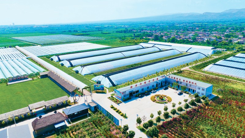 写在全国有机旱作农业现场观摩推进会召开之际(图1)