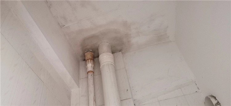 普洛兰取得紫外光原位固化管道修复设备及工艺专利(图1)