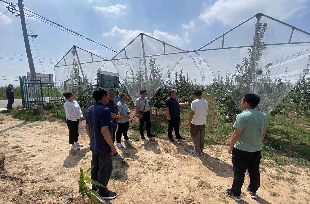 科技赋能“秸”尽其用 长三角共探农业绿色低碳发展新路径(图1)