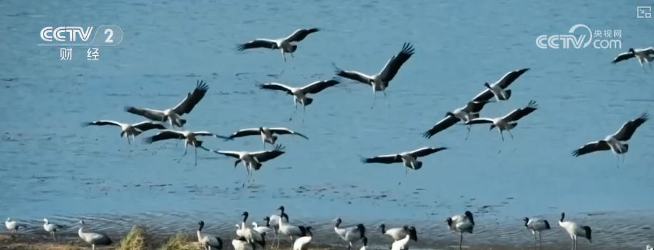 向“好”向“新”绿”新突破！多领域捷报频传 经济发展“新”动力更足(图5)
