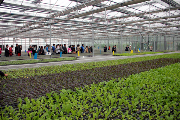 河南省邮政业内容纳入全省“十三五”规划予以重点推进(图1)