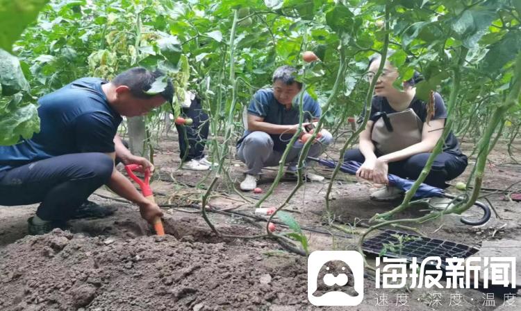 我的环保故事丨刘凯：“典”清土壤家底 守护“齐鲁净土”(图1)