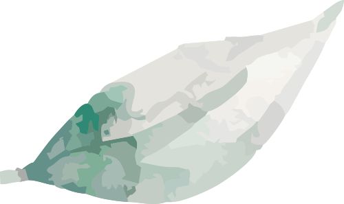 多处与残疾人密切相关！“十五五”首个中央一号文件来了(图1)