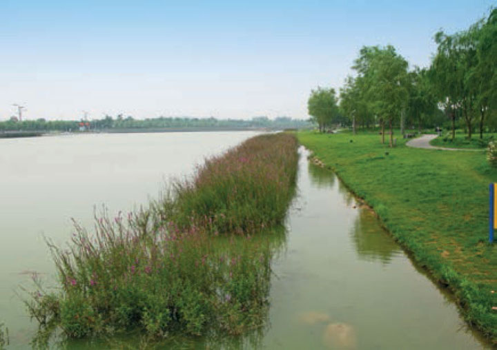 清泉河清淤工程圆满完成提升居民生活品质与生态环境(图1)