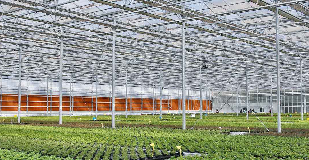 城市菜塔：重构城市粮食安全的“立体农场”(图1)