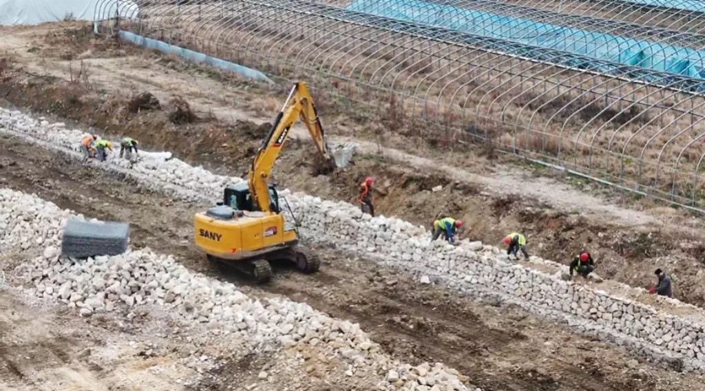 抢抓黄金期！郧阳全力推进这项生态修复工程(图1)