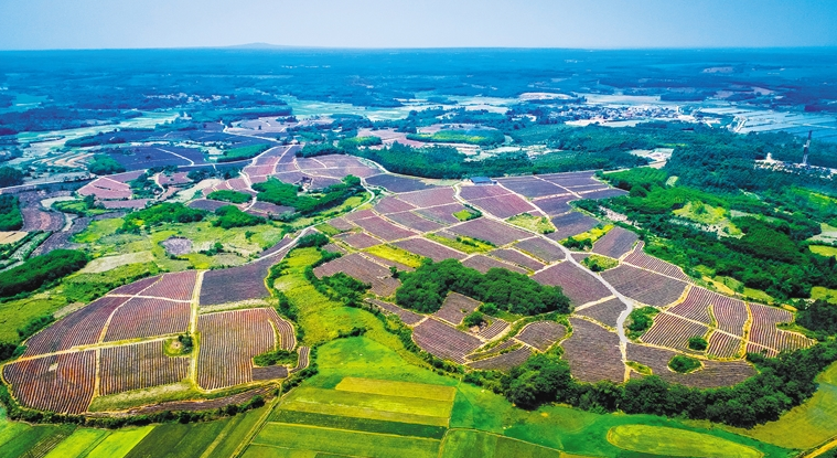 最高判赔400万元多起假种子案曝光！(图1)