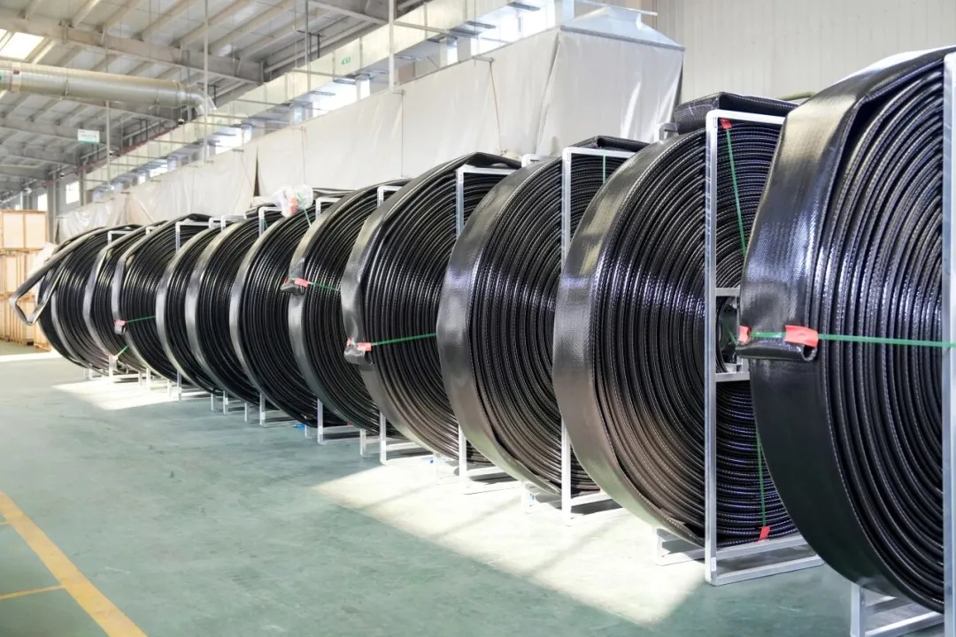 为全省全国大局出力泰州的“压舱石”怎么筑？(图8)