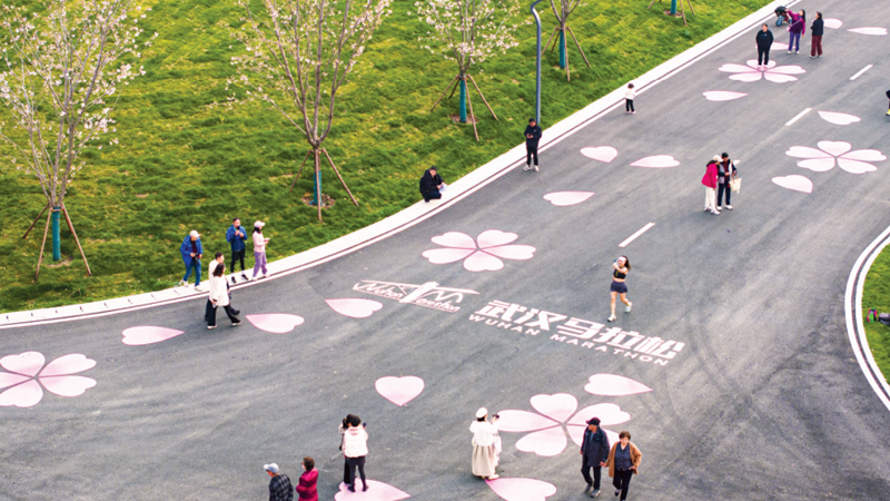 青山江滩生态修复碳汇交易创全国先河 汉马跑出来的碳就地被“中和”(图1)