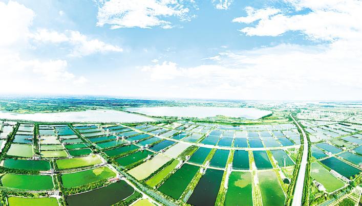 “四个农业”引领 “四链融合”赋能(图1)