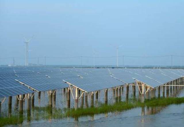 威海银行：以特色金融服务守护生态与农业发展(图1)