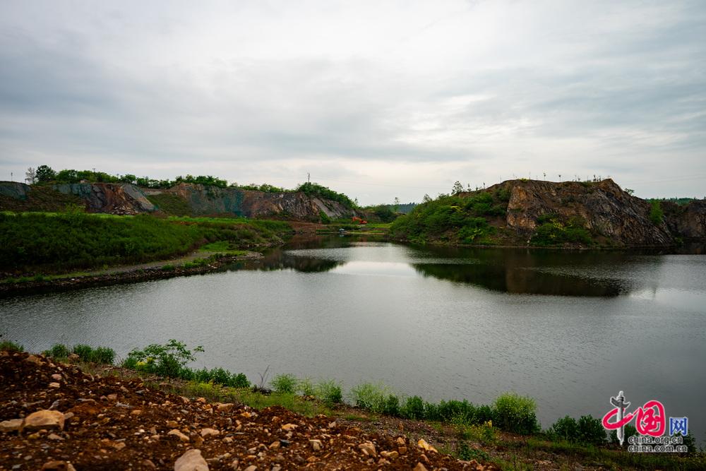 从“生态伤疤”到“绿色屏障” 七宝山废弃矿区重生记(图2)