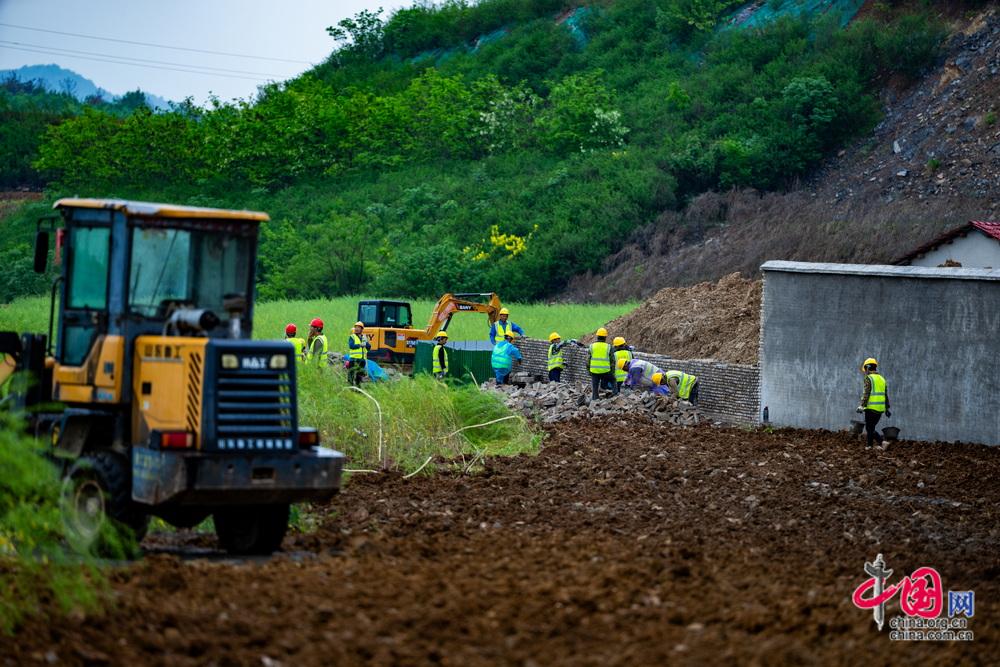 从“生态伤疤”到“绿色屏障” 七宝山废弃矿区重生记(图5)