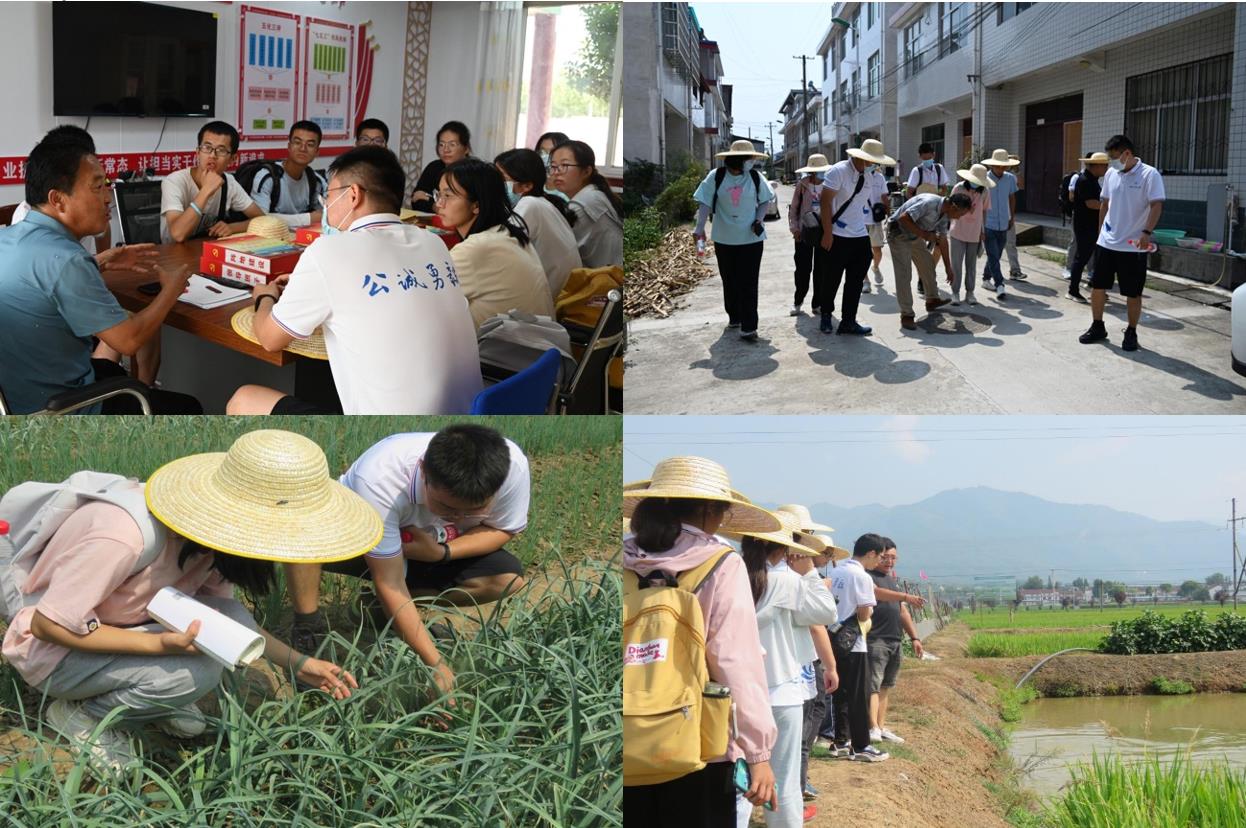 农业的绿色转型：绘制永续发展的蓝图(图1)