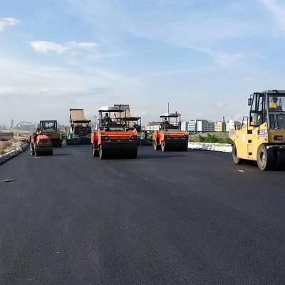 陕西2026年第2号总林长令：推动鸟类保护提质增效(图1)