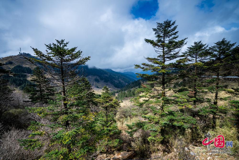 世界地球日 守护北纬31度的绿色奇迹 神农架林区生态保护与修复概览(图1)