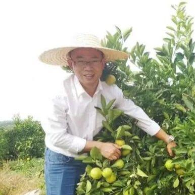 小投入大学问小农能学能做的生态农业丨培训招募(图9)
