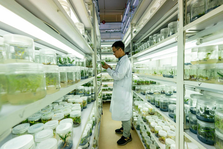习近平生态文明思想引领生物多样性保护事业开创新局面(图7)