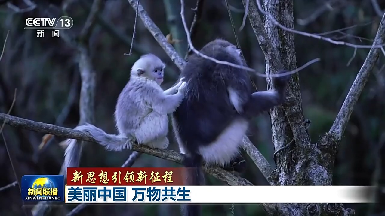 新思想引领新征程丨美丽中国万物共生(图8)